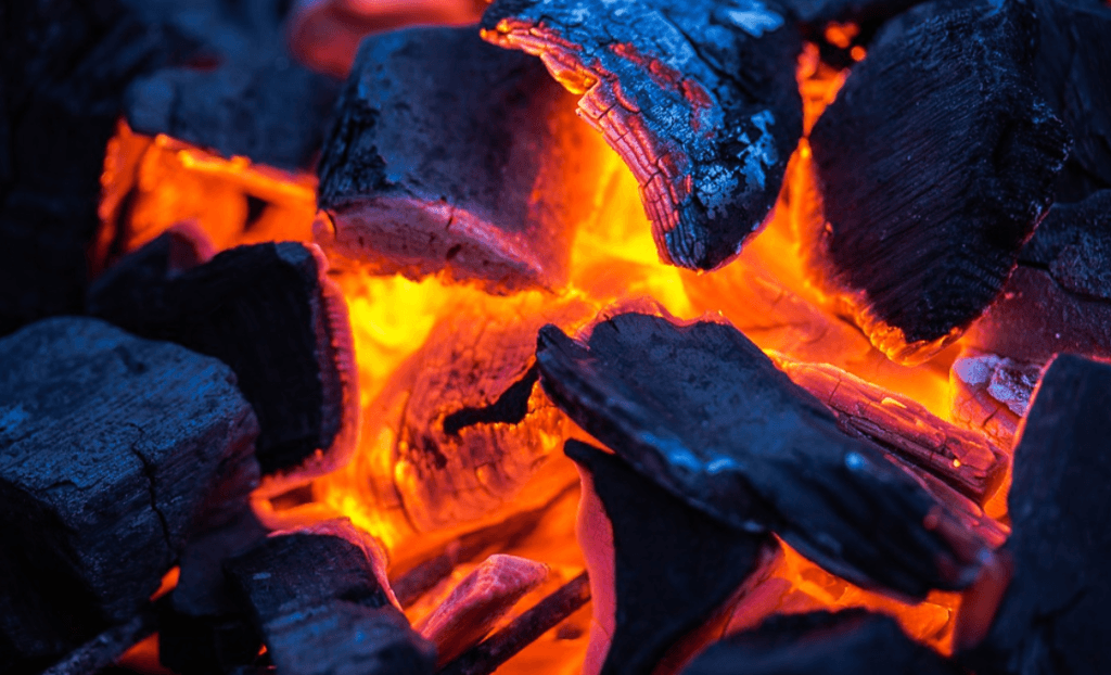 Can You Reuse Charcoal? [COMPLETE BEGINNER'S GUIDE]